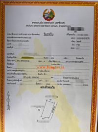 T00307